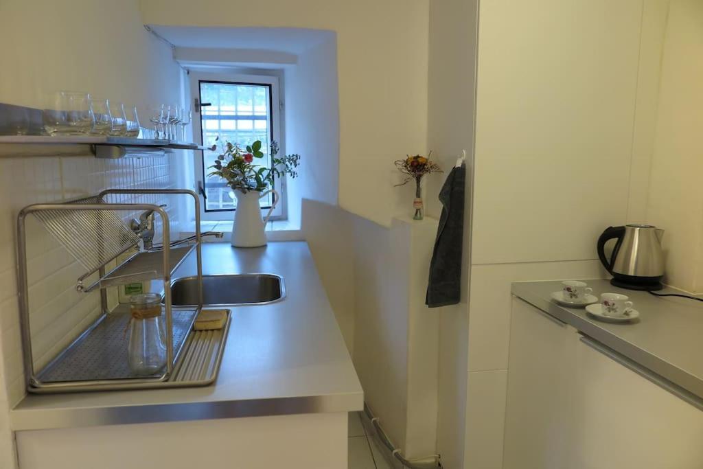 Hradcany Apartment With Green Energy 布拉格 外观 照片