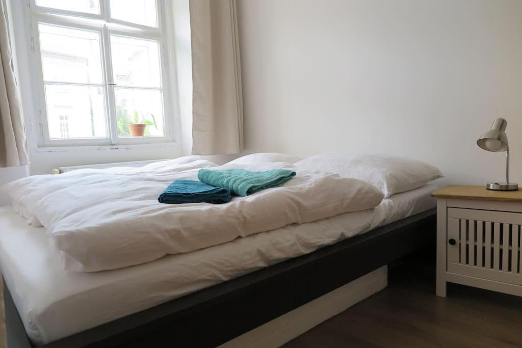 Hradcany Apartment With Green Energy 布拉格 外观 照片